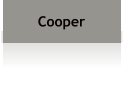 Cooper