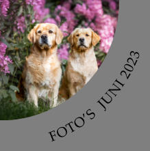 FOTOS  JUNI 2023