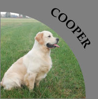 COOPER