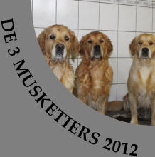 DE 3 MUSKETIERS 2012