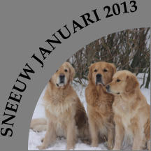 SNEEUW JANUARI 2013