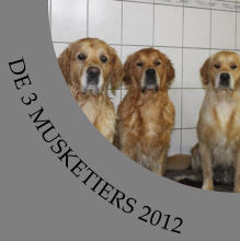 DE 3 MUSKETIERS 2012