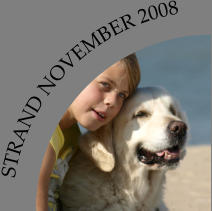 STRAND NOVEMBER 2008