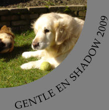 GENTLE EN SHADOW 2009