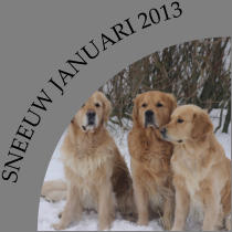 SNEEUW JANUARI 2013