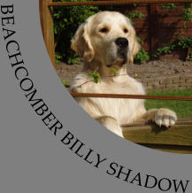 BEACHCOMBER BILLY SHADOW